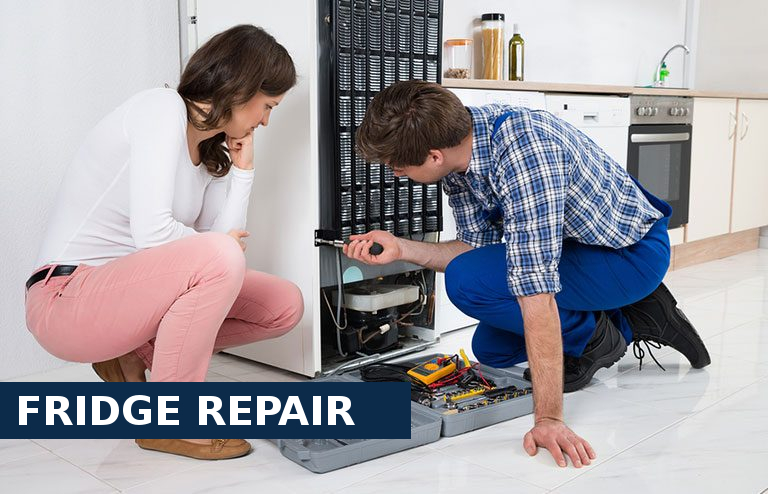 Fridge Repair Wimbledon